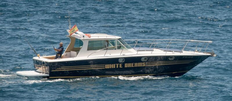 Costa Adeje: Private Whale and Dolphin Watching Tour - Key Points