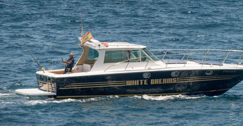 Costa Adeje: Private Whale and Dolphin Watching Tour - Spectacular Cove Vistas