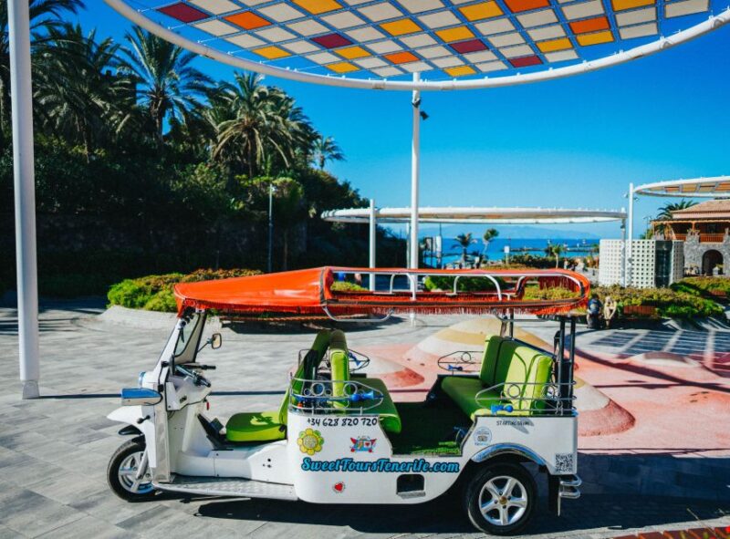Costa Adeje: Secret Volcano Tuk Tuk Tour - Highlights of the Itinerary