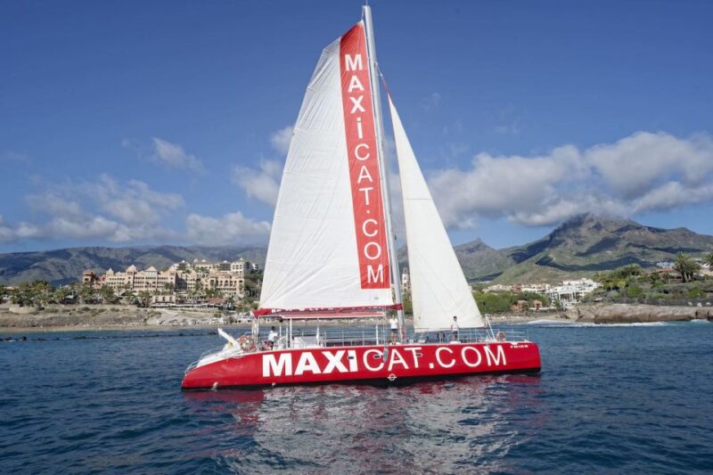 Costa Adeje: Whale and Dolphin Cruise With Food and Pickup - Booking and Pickup