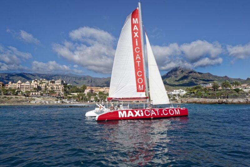 Costa Adeje: Whale and Dolphin Cruise With Food and Pickup - Cruise Experience