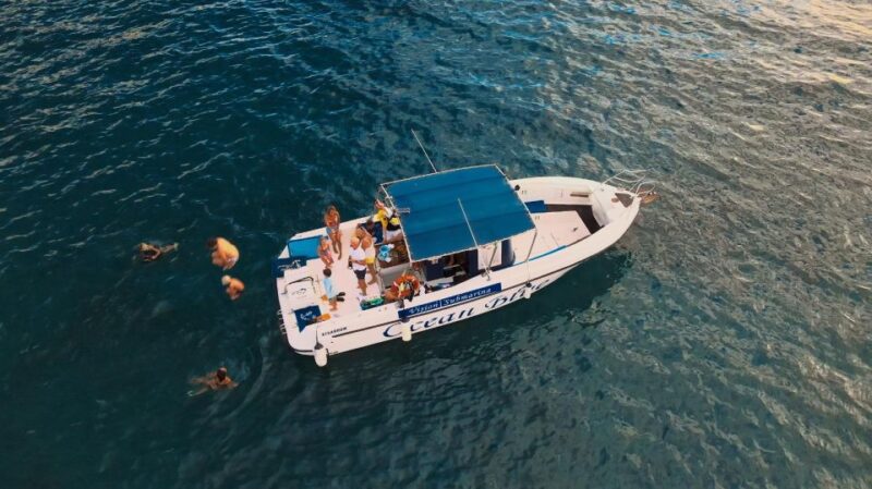 Costa Adeje: Whale and Dolphin-Watching Boat Excursion - Refreshments