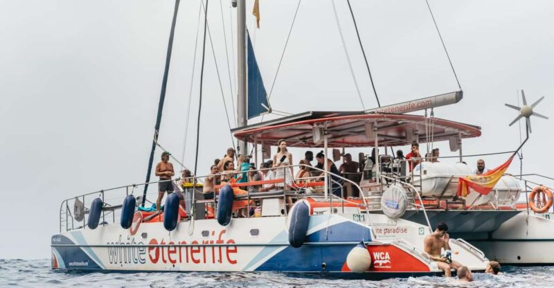 Costa Adeje: Whale & Dolphin Eco-Cruise With Snacks & Drinks - Meet at Pier 8