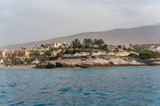 Costa Adeje: Whale & Dolphin Eco-Cruise With Snacks & Drinks - Meal and Beverage Options