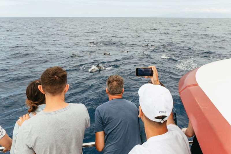 Costa Adeje: Whale & Dolphin Submarine Vision Mini Cruise - Underwater Viewing