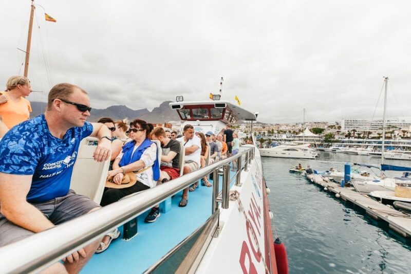 Costa Adeje: Whale & Dolphin Submarine Vision Mini Cruise - Wildlife Sightings