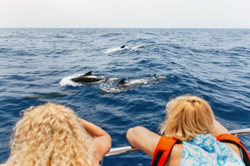 Costa Adeje: Whale Watching Catamaran Tour With Drinks - Wildlife Information