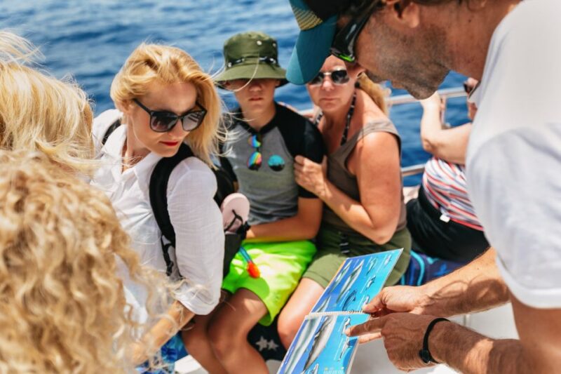 Costa Adeje: Whale Watching Catamaran Tour With Drinks - Customer Feedback