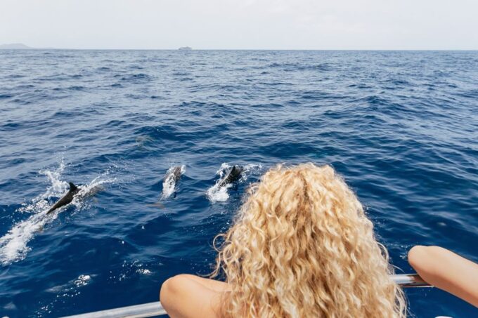 Costa Adeje: Whale Watching Catamaran Tour With Drinks - Booking and Availability