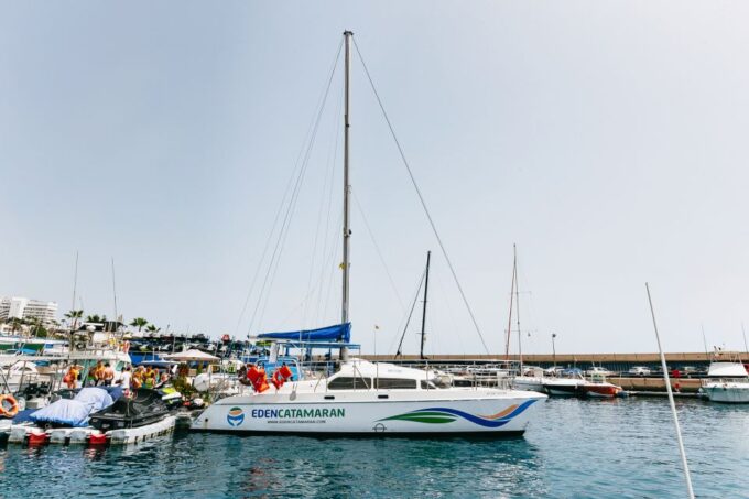 Costa Adeje: Whale Watching Catamaran Tour With Drinks - Frequently Asked Questions