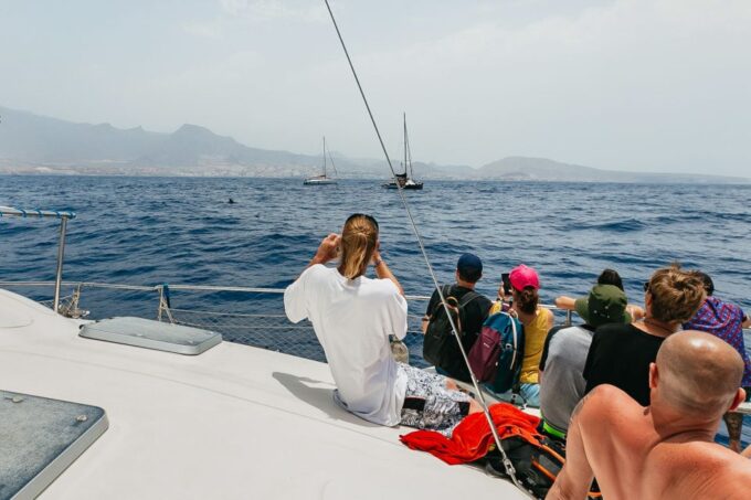 Costa Adeje: Whale Watching Catamaran Tour With Drinks - Recap