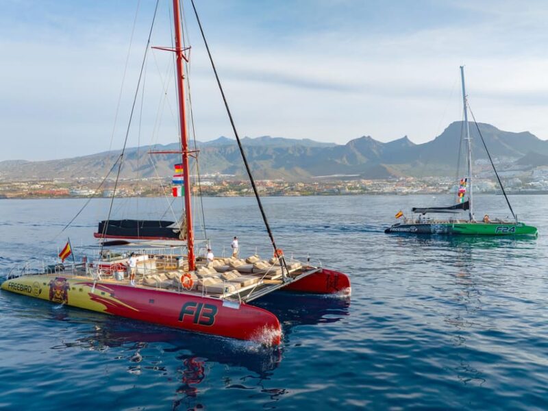 Costa Adeje: Whale Watching Cruise With Snack and Drinks - Key Points