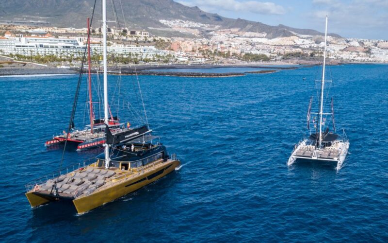 Costa Adeje: Whale Watching Cruise With Snack and Drinks - Vessel and Onboard Amenities