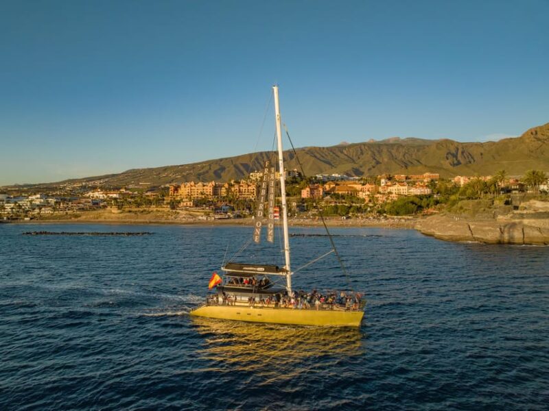 Costa Adeje: Whale Watching Cruise With Snack and Drinks - Tour Activities