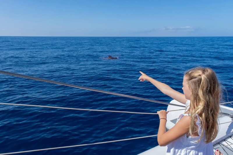 Costa Adeje: Whale Watching Cruise With Snack and Drinks - Customer Feedback