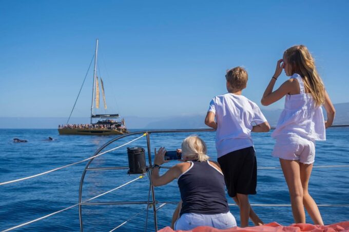 Costa Adeje: Whale Watching Cruise With Snack and Drinks - Additional Options