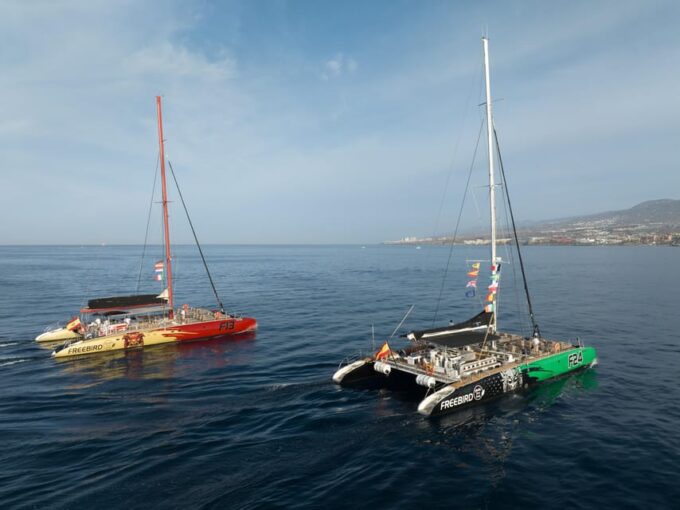 Costa Adeje: Whale Watching Cruise With Snack and Drinks - Health Advisory