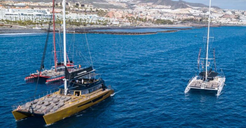 Costa Adeje: Whale Watching Tour With Food and Drinks - Experience Highlights
