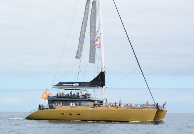 Costa Adeje: Whale Watching Tour With Food and Drinks - Wildlife Observation