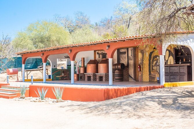 Costa Azul Zipline Eco-Adventure in Los Cabos - Tequila Tasting Experience