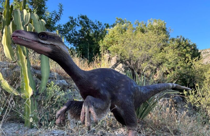 Costa Blanca: DinoPark Algar Entry Ticket - Dinosaur Exhibits and Attractions
