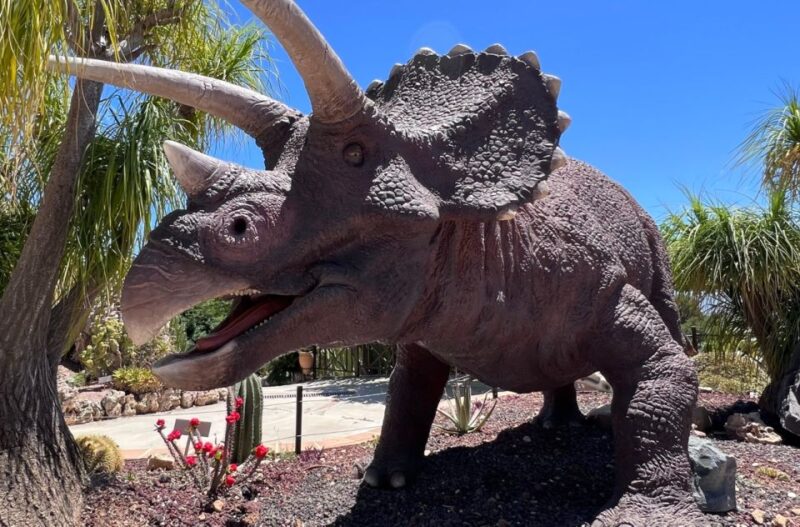 Costa Blanca: DinoPark Algar Entry Ticket - Pet-Friendly Policies