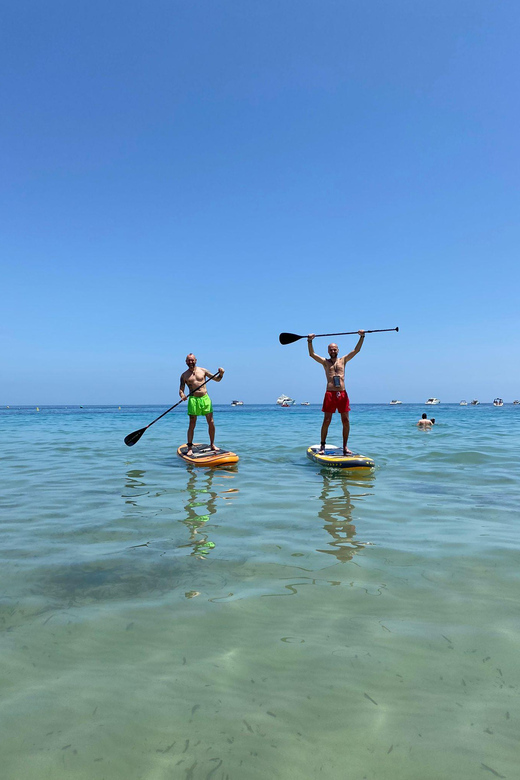 Costa Blanca - Discover Hidden Beaches With Paddle Board - Wildlife Spotting Opportunity