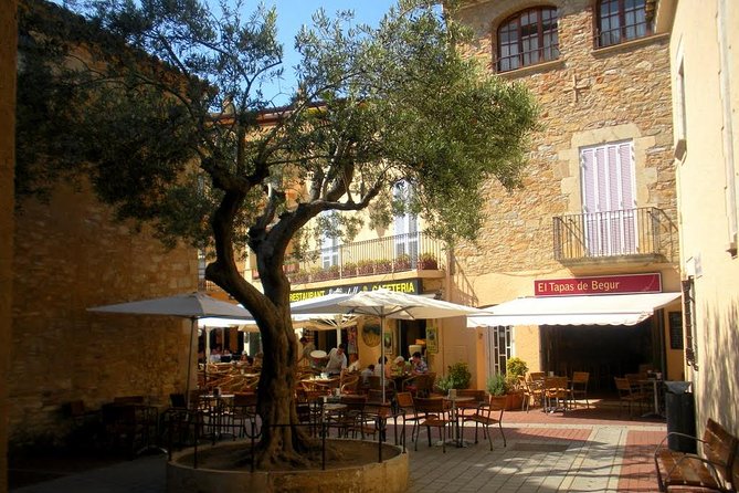 Costa Brava and Medieval Villages Small Group From Girona - Additional Details