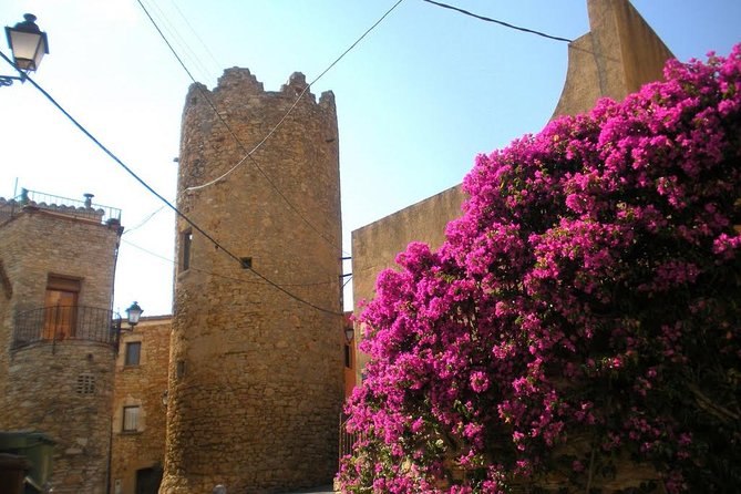 Costa Brava and Medieval Villages Small Group From Girona - Group Size and Suitability