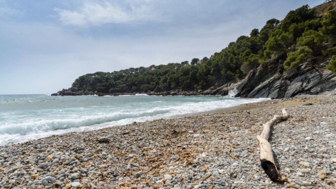 Costa Brava: Cala Murtra Catamaran - Super Underwater View - Customer Feedback and Ratings