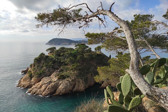 Costa Brava Coast Hike and Snorkel From Barcelona With Lunch - Group Size and Pricing