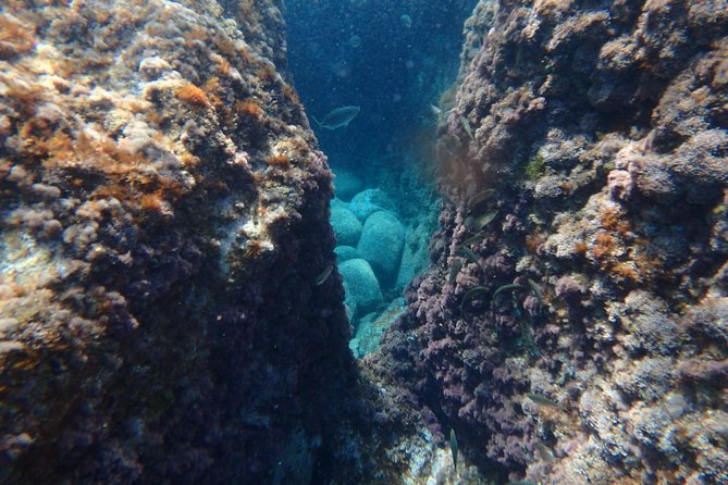 Costa Brava Day Adventure: Kayak, Snorkel & Cliff Jump With Lunch - Lunch and Refreshments