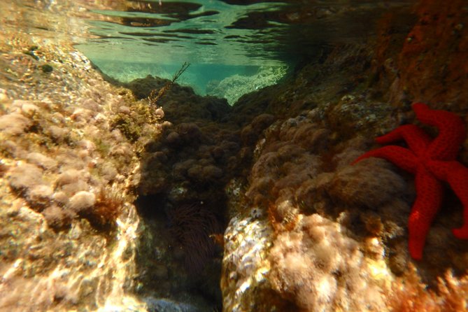 Costa Brava Day Adventure: Kayak, Snorkel & Cliff Jump With Lunch - Booking and Confirmation