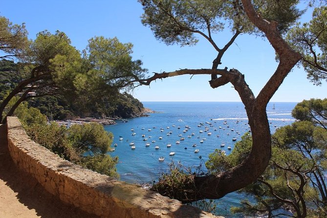 Costa Brava Full Day Trip From Barcelona With Boat Trip - Booking Confirmation and Accessibility