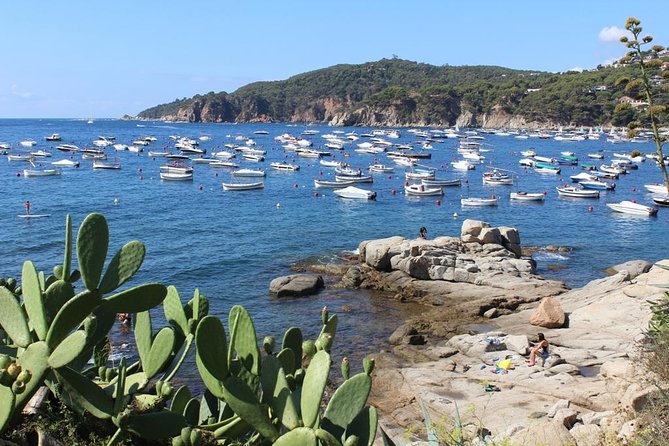 Costa Brava Full Day Trip From Barcelona With Boat Trip - Transportation and Physical Fitness Requirements