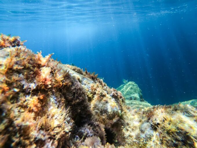 Costa Brava: Sea Caves Kayaking and Snorkeling Tour - Snorkeling in Clear Waters