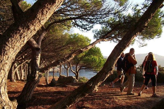 Costa Brava Small Group Hiking Tour From Barcelona - Discover Ancient Iberian Village