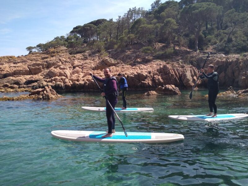 Costa Brava: Stand-Up Paddleboarding Lesson and Tour - Pricing and Booking