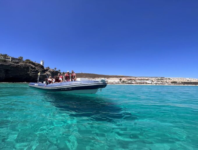 Costa Calma: Fuerteventura Dolphin Watching Zodiac Boat Tour - Recap