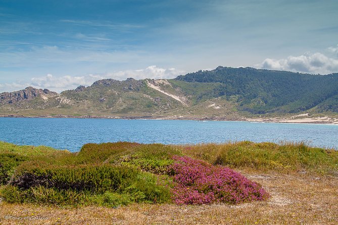 Costa Da Morte/Finisterre From La Coruña Private Tour/Shore Excursion - Convenient Pickup and Dropoff