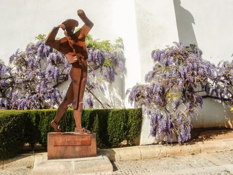 Costa Del Sol and Malaga: Ronda and Setenil De Las Bodegas - Exploring Ronda