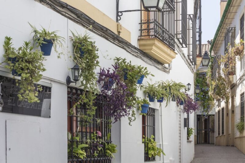 Costa Del Sol: Full-Day Cordoba Tour - Key Points