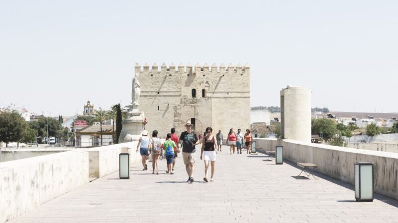 Costa Del Sol: Full-Day Cordoba Tour - Discover Roman and Jewish Heritage