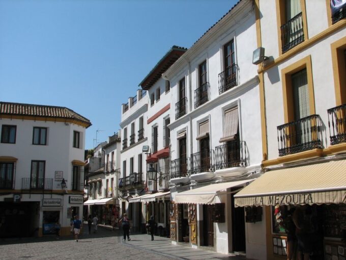 Costa Del Sol: Full-Day Cordoba Tour - Explore the Enchanting Patios