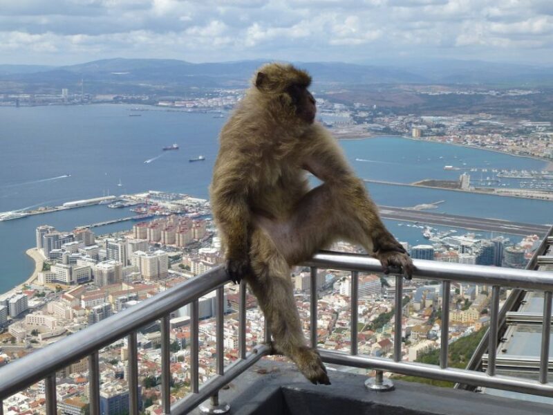 Costa Del Sol: Gibraltar Day Trip With Optional Rock Tour - Discovering Saint Michaels Cave