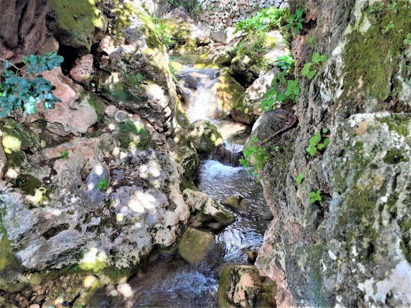 Costa Del Sol: Private Tour to Ojen - Free Time and Shopping