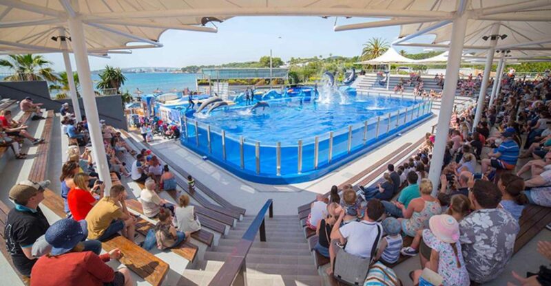 Costa Den Blanes: Entry Ticket for Marineland Mallorca - Park Experience and Attractions
