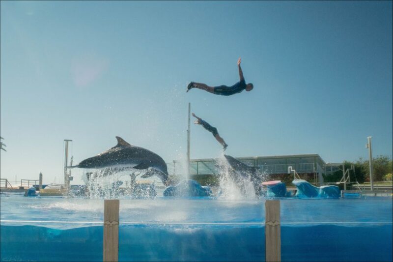 Costa Den Blanes: Entry Ticket for Marineland Mallorca - Discounts and Offers