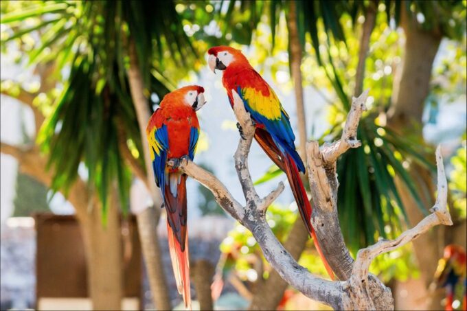 Costa Den Blanes: Entry Ticket for Marineland Mallorca - Frequently Asked Questions