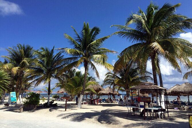 Costa Maya All Included Beach Break from Cruise Port - What the Experience Means for You